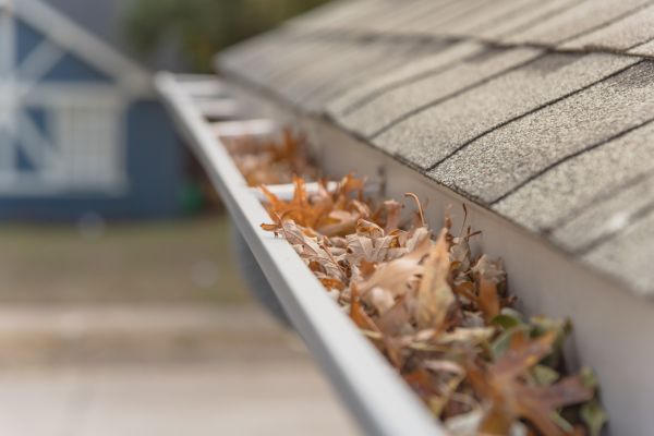 Leaf Barrier Installation in Sun City Center